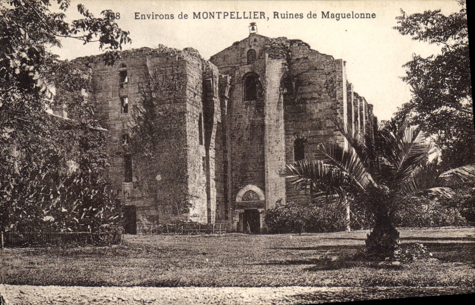 CPA Environs de Montpellier Ruines de Maguelonne 