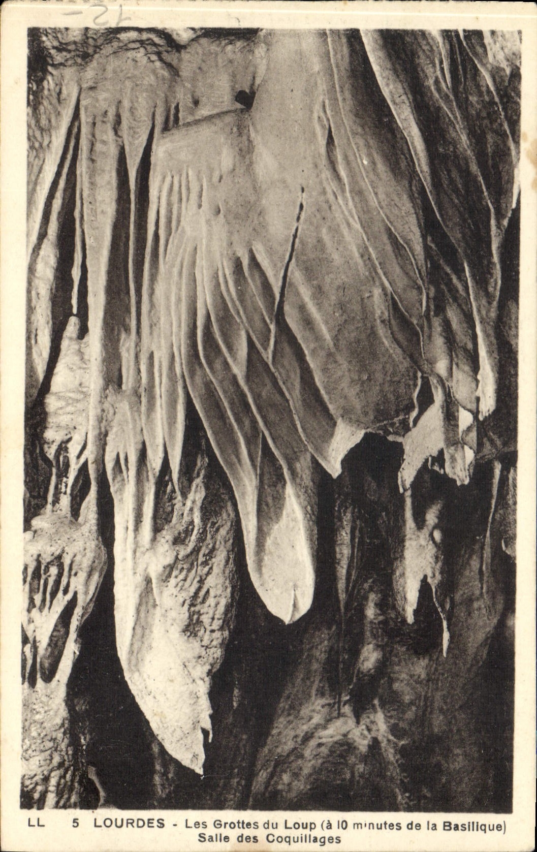 CPA Lourdes les Grottes du Loup a 10 minutes de la Basilique Salle des Coquillages 