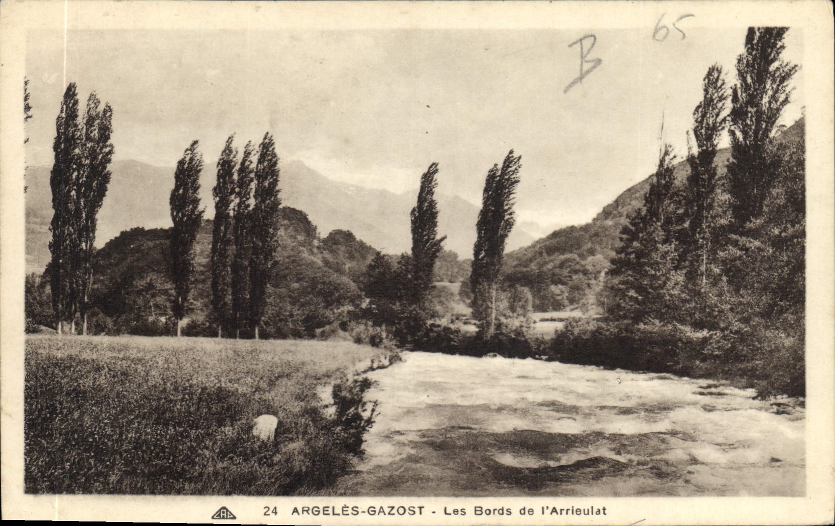CPA Argeles Gazost les Bords de l'Arrieulat 