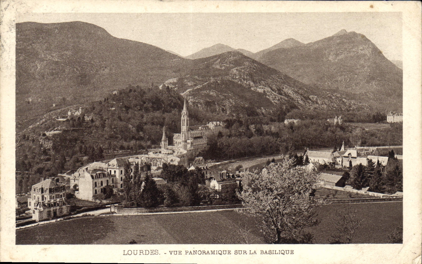 CPA Lourdes vue panoramique sur la Basilique 