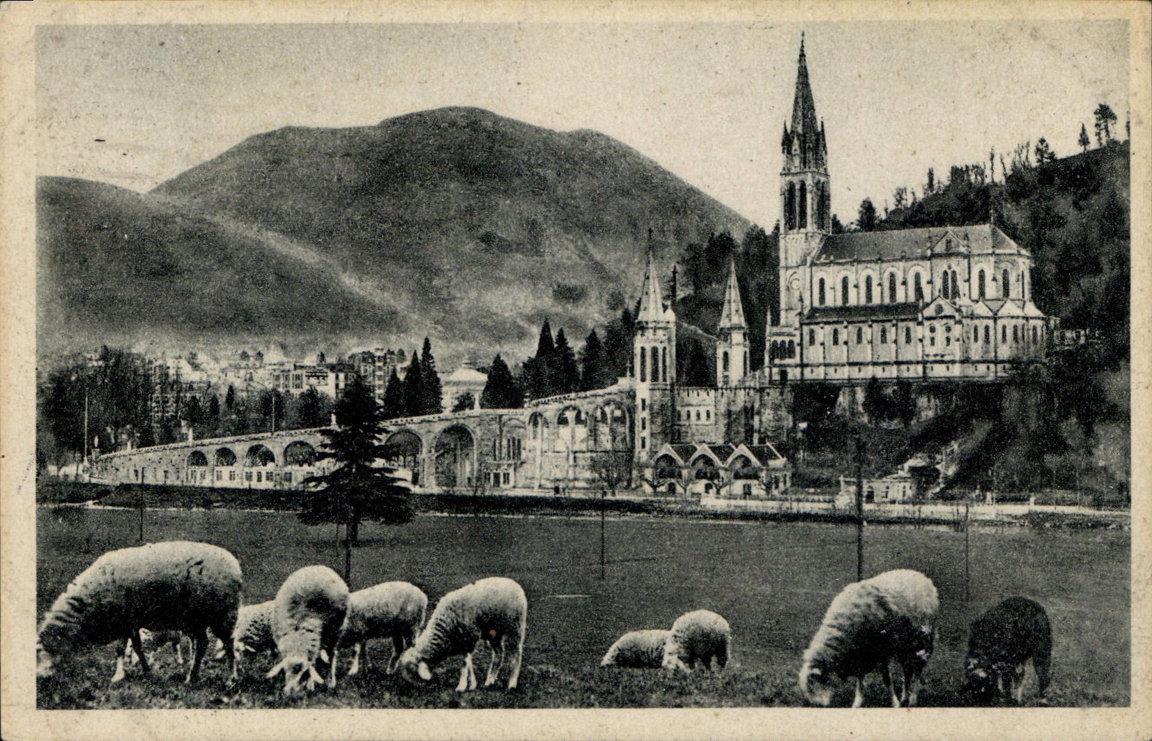 CPA Lourdes la Basilique et le Pic du Jer 