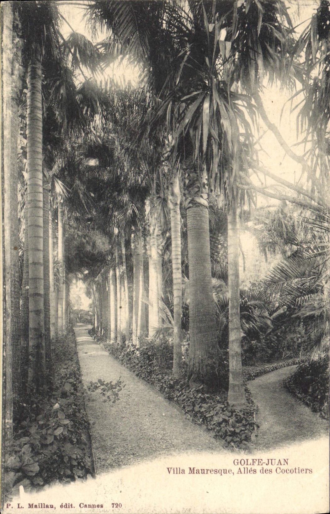 CPA Golfe Juan Villa Mauresque Alles des Cocotiers