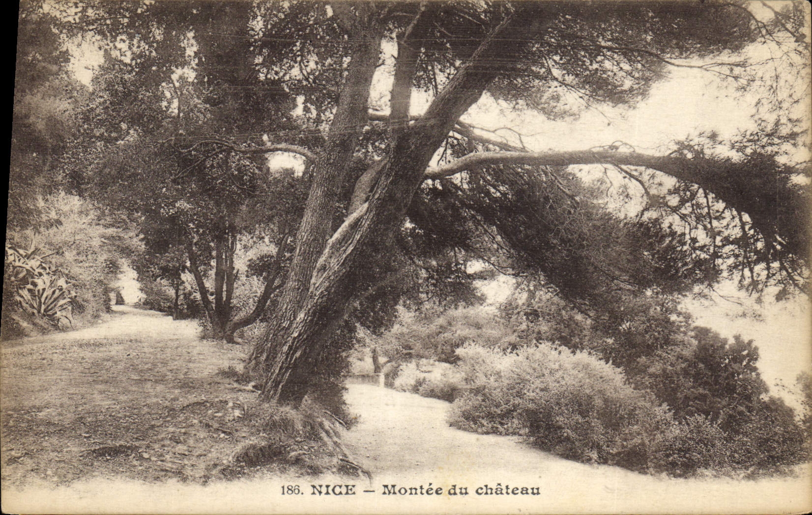 CPA Nice Montee du Chateau 