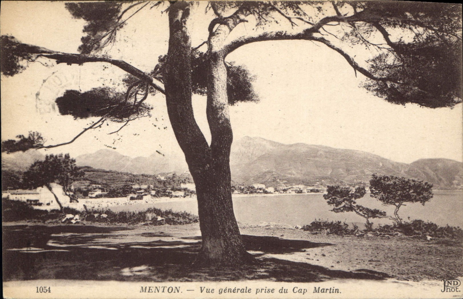 CPA Menton vue generale prise du cap Martin