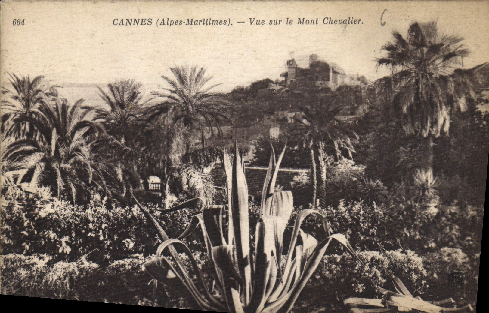 CPA Cannes Alpes Maritimes vue sur le Mont Chevalier 