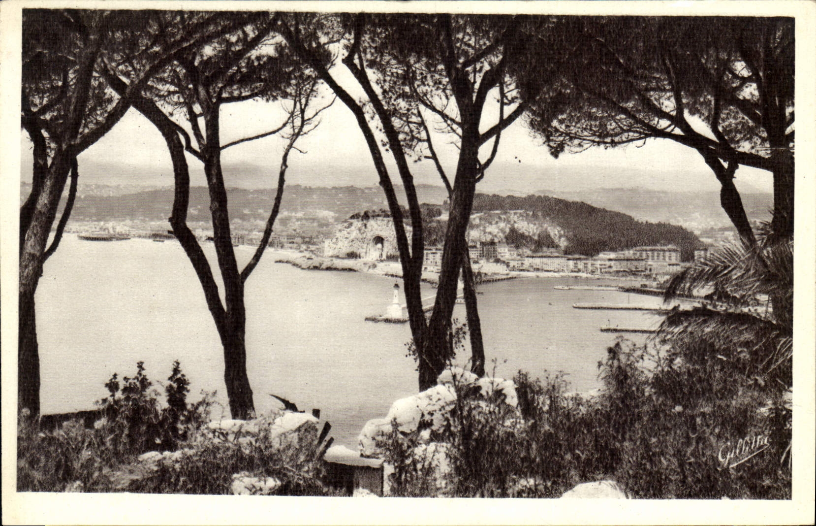 CPA Cote d'Azur Artistique Nice Vue entre les Pins