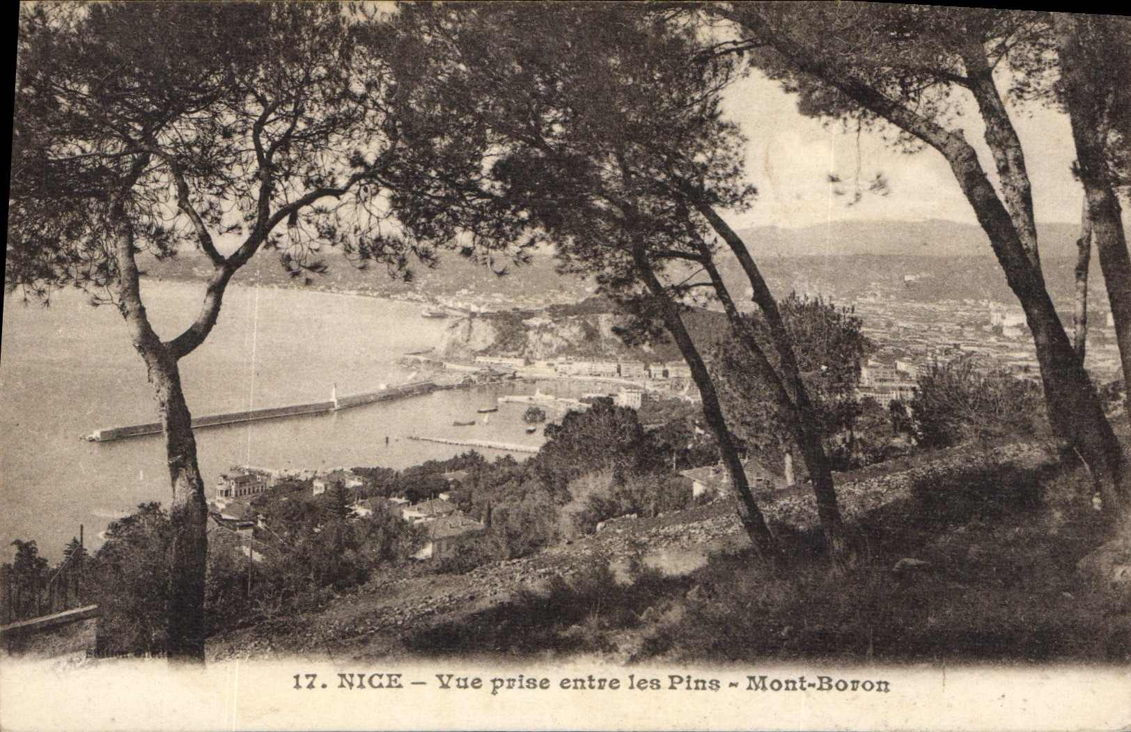 CPA Nice Vue prise entre les Pins Mont Boron