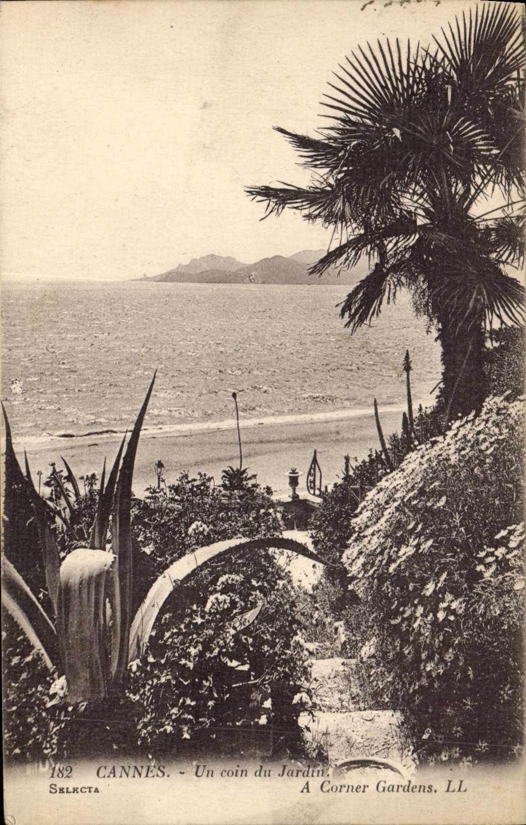 CPA Cannes Un coin du Jardin 