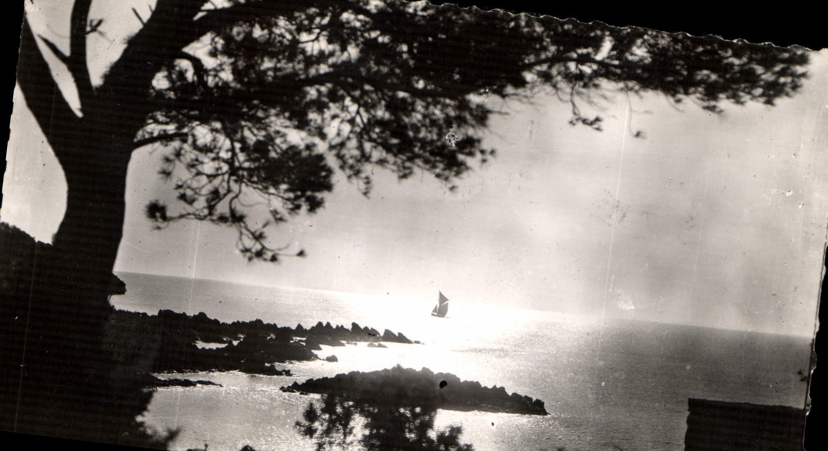 CPA La Cote d'Azur 