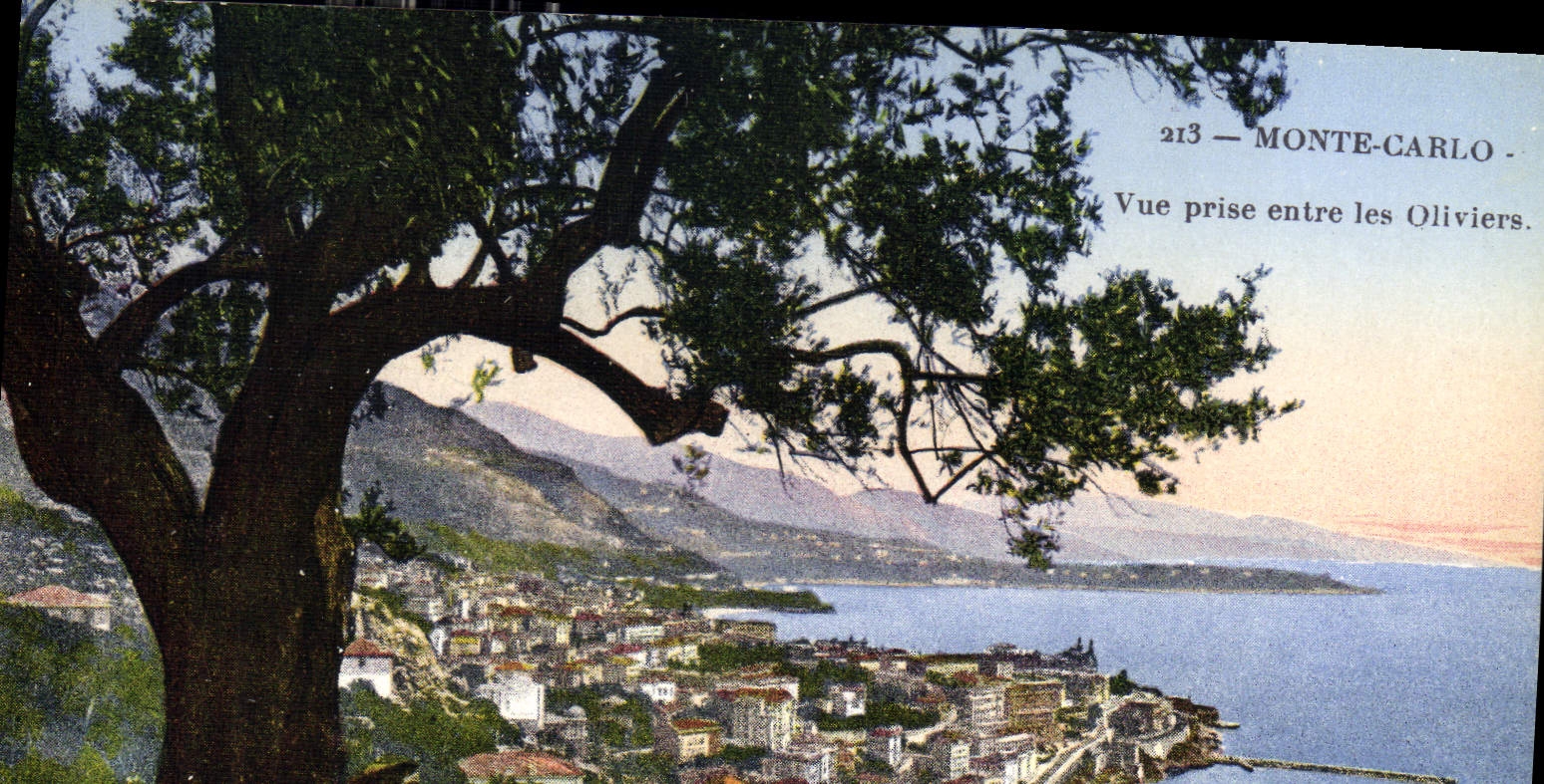 CPA Monte Carlo Vue prise entre les Oliviers 