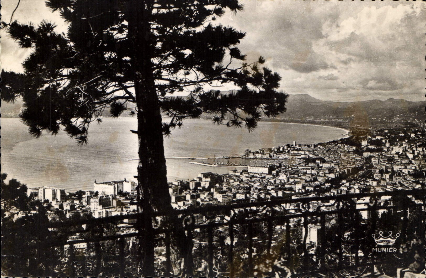 CPA Cannes vue generale prise de la Californie 