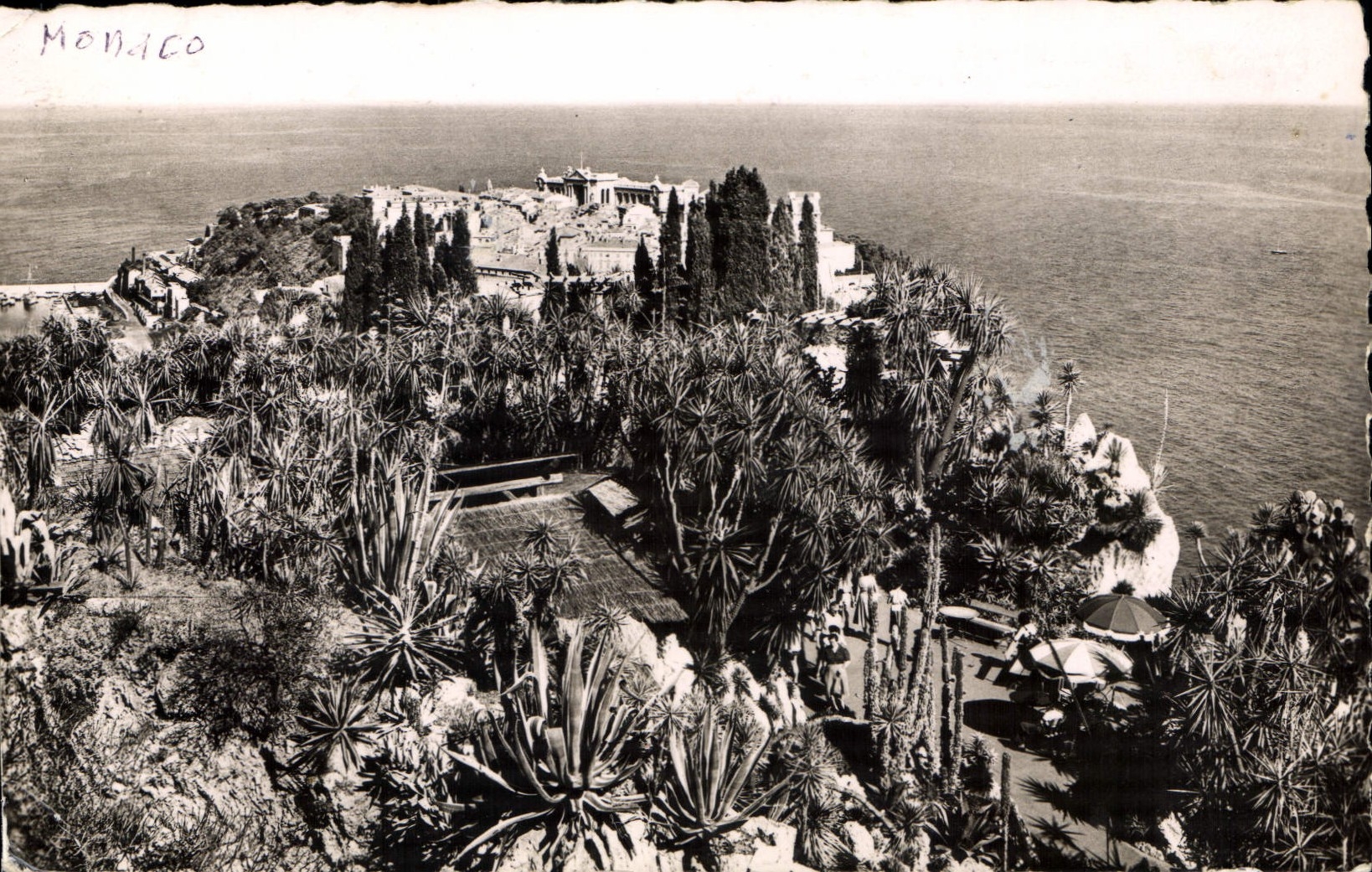CPA Principaute de Monaco le Jardin exotique au fond le rocher de Monaco 