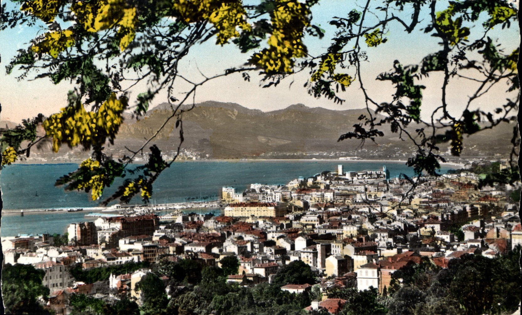 CPA La Cote d'Azur Cannes vue generale 