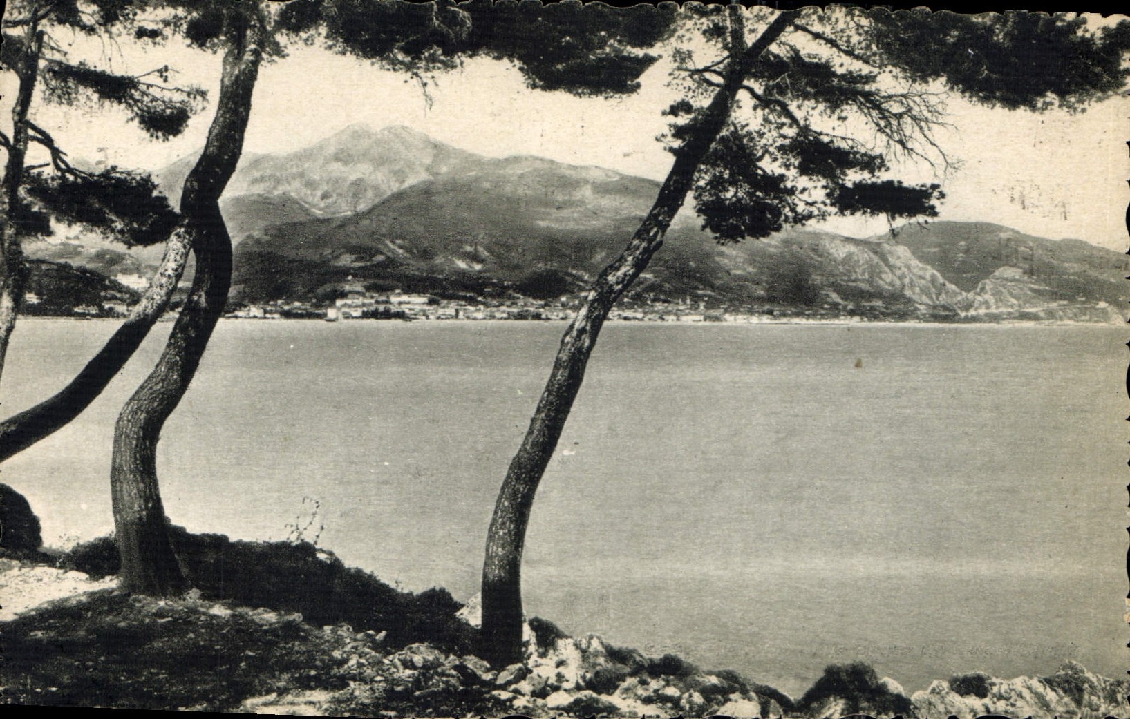 CPA Menton Vue prise du Cap Martin 