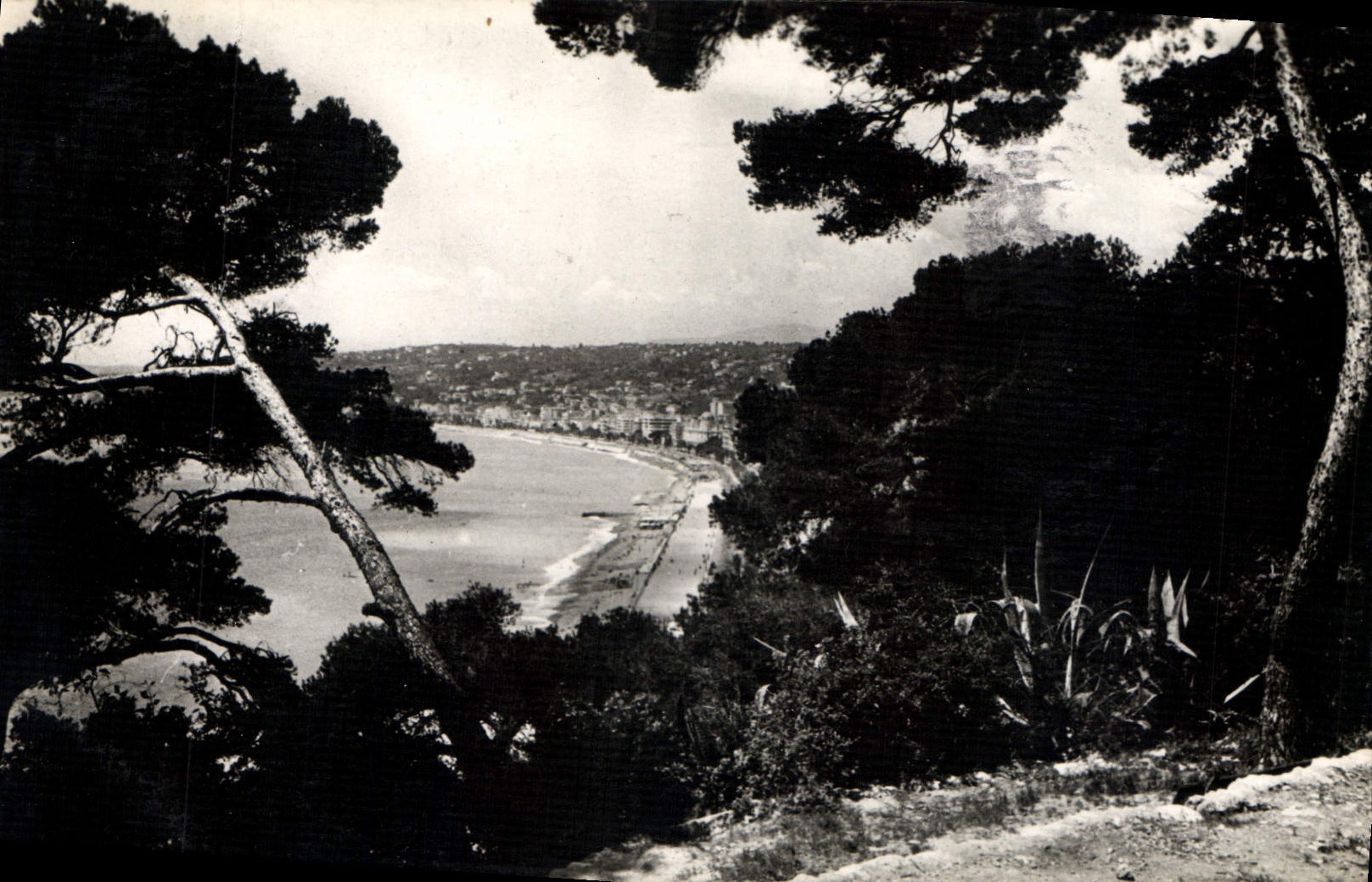 CPA Nice vue generale prise du Chateau 
