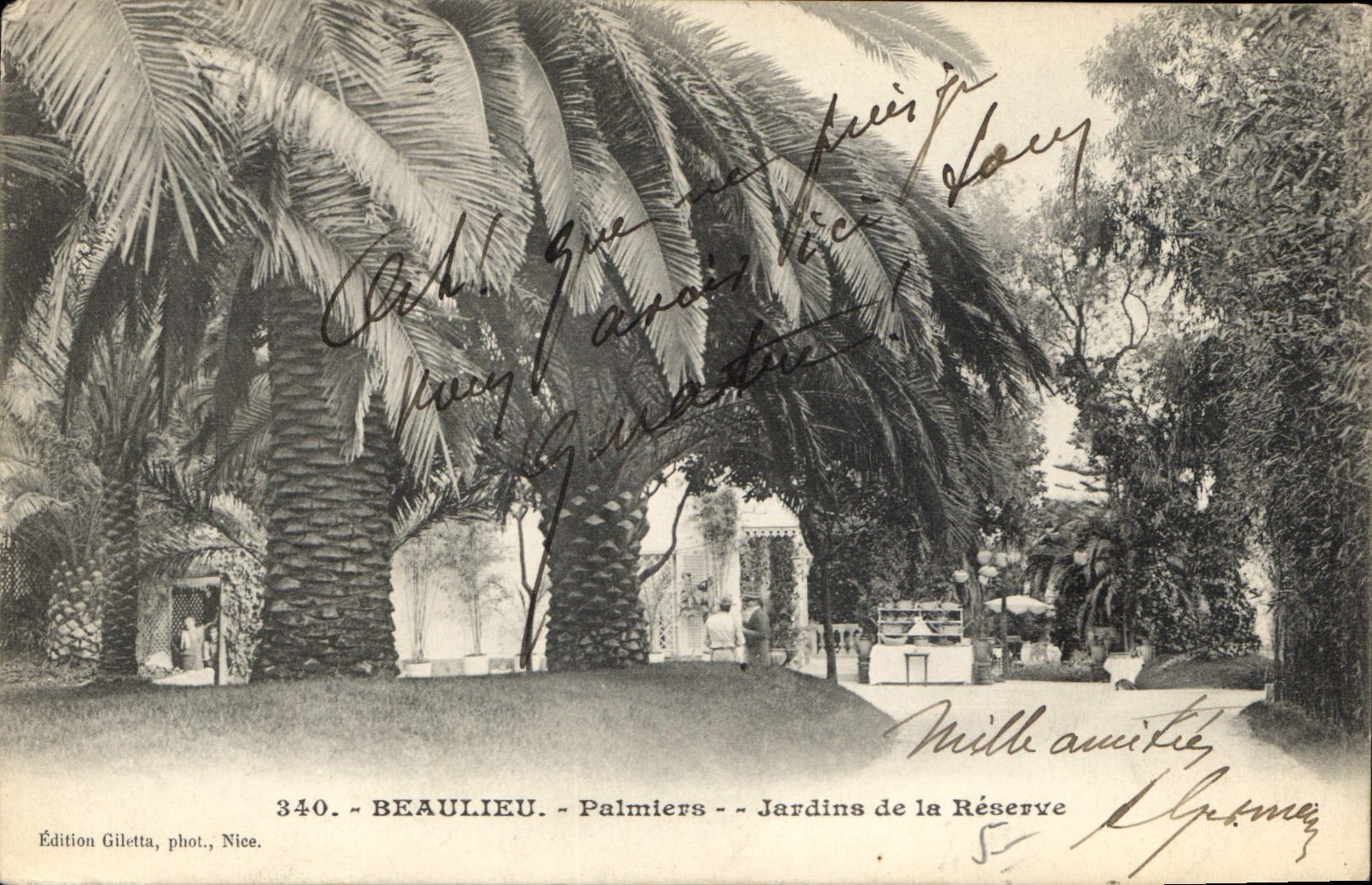 CPA Beaulieu Palmiers Jardins de la Reserve