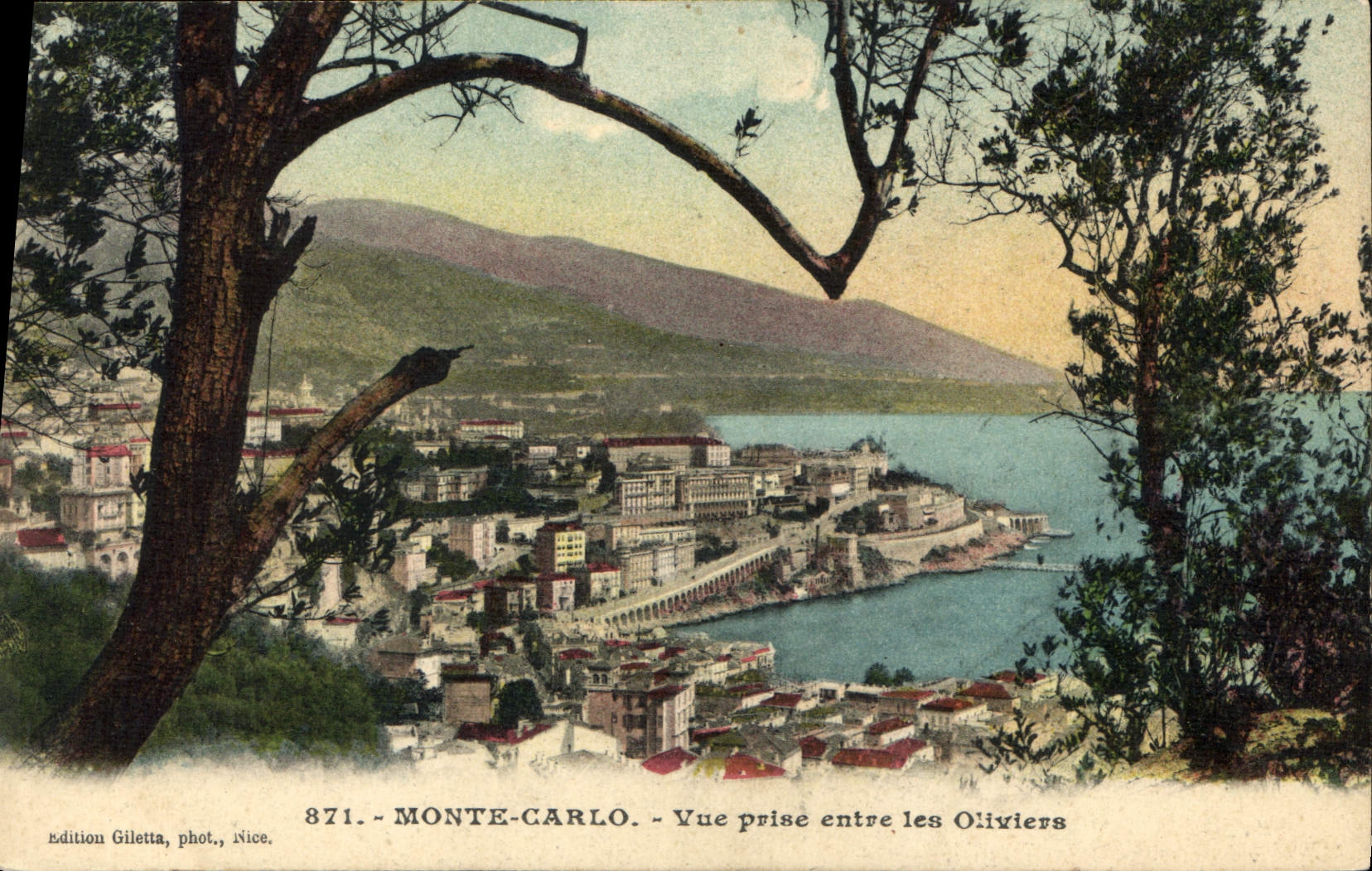 CPA Monte Carlo vue prise entre les Oliviers