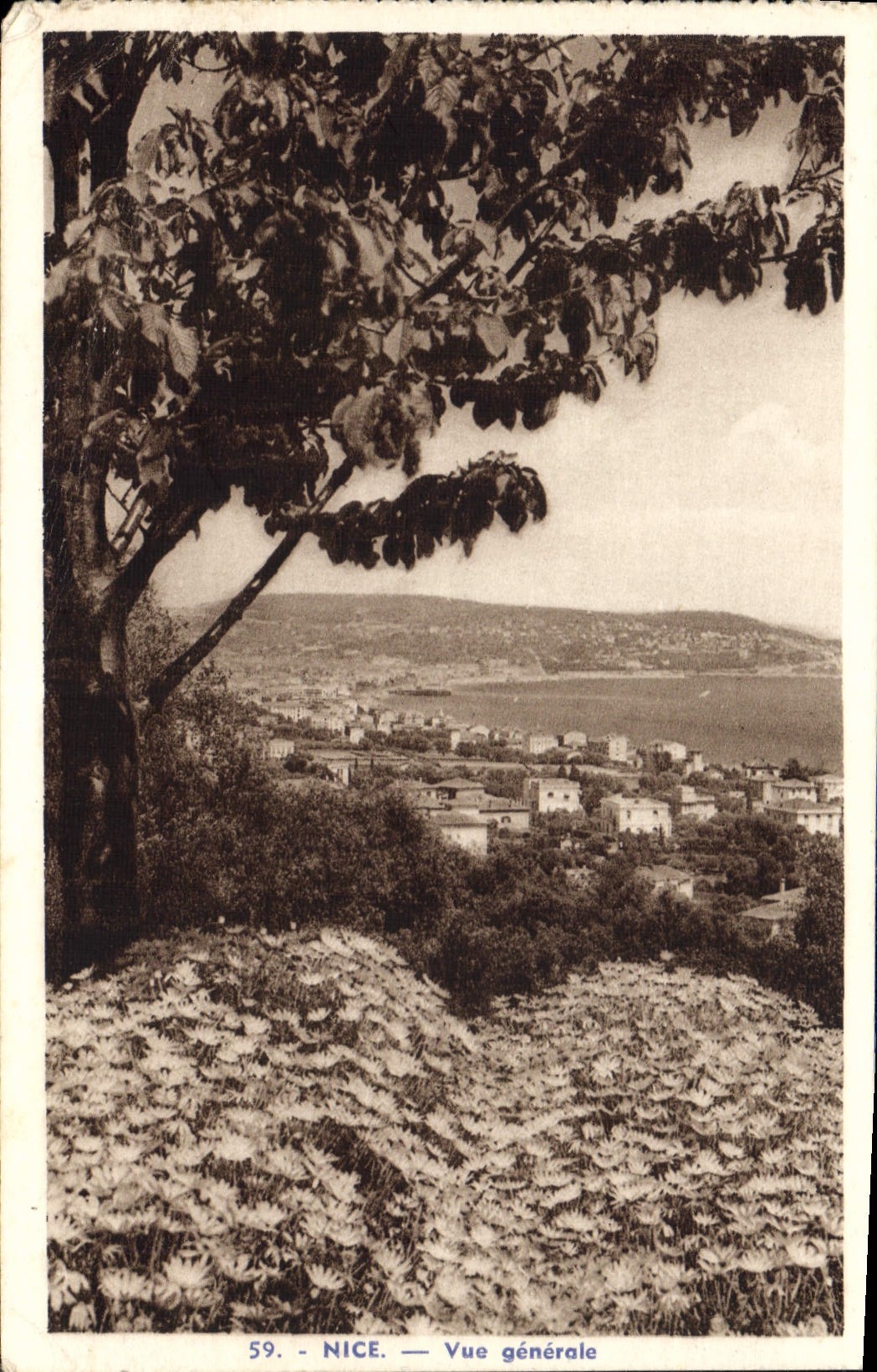CPA Nice Vue generale 