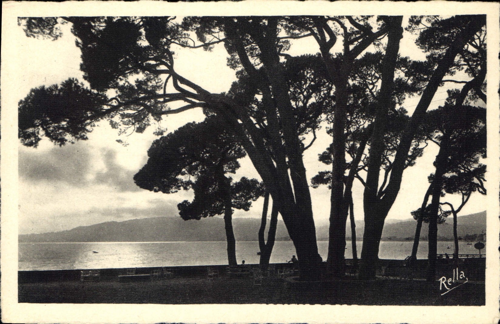 CPA Juan les Pins Contre jour sur la Pinede 