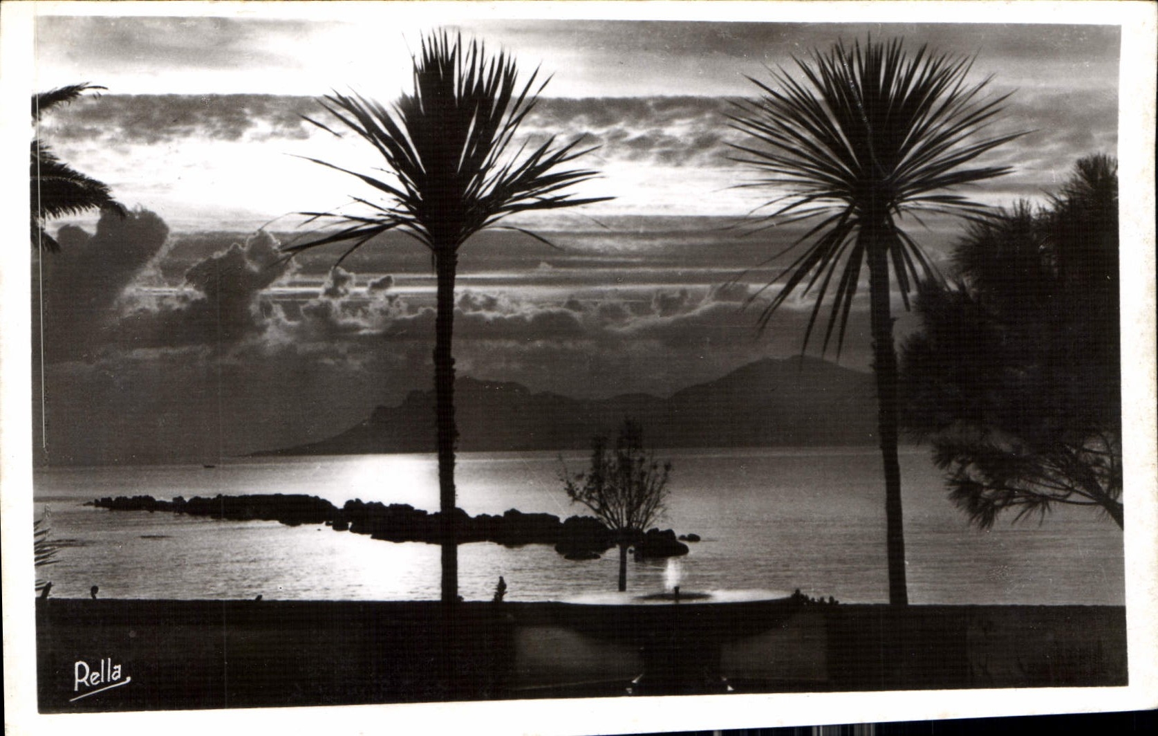 CPA Cannes Coucher de soleil au Parc Albert Ier 