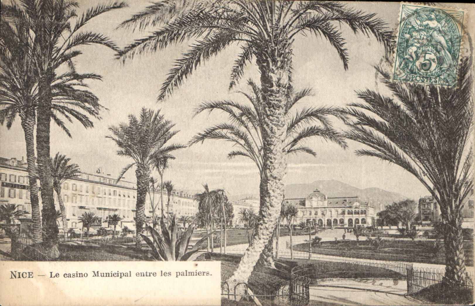 CPA Nice Le Casino Municipal entre les palmiers 
