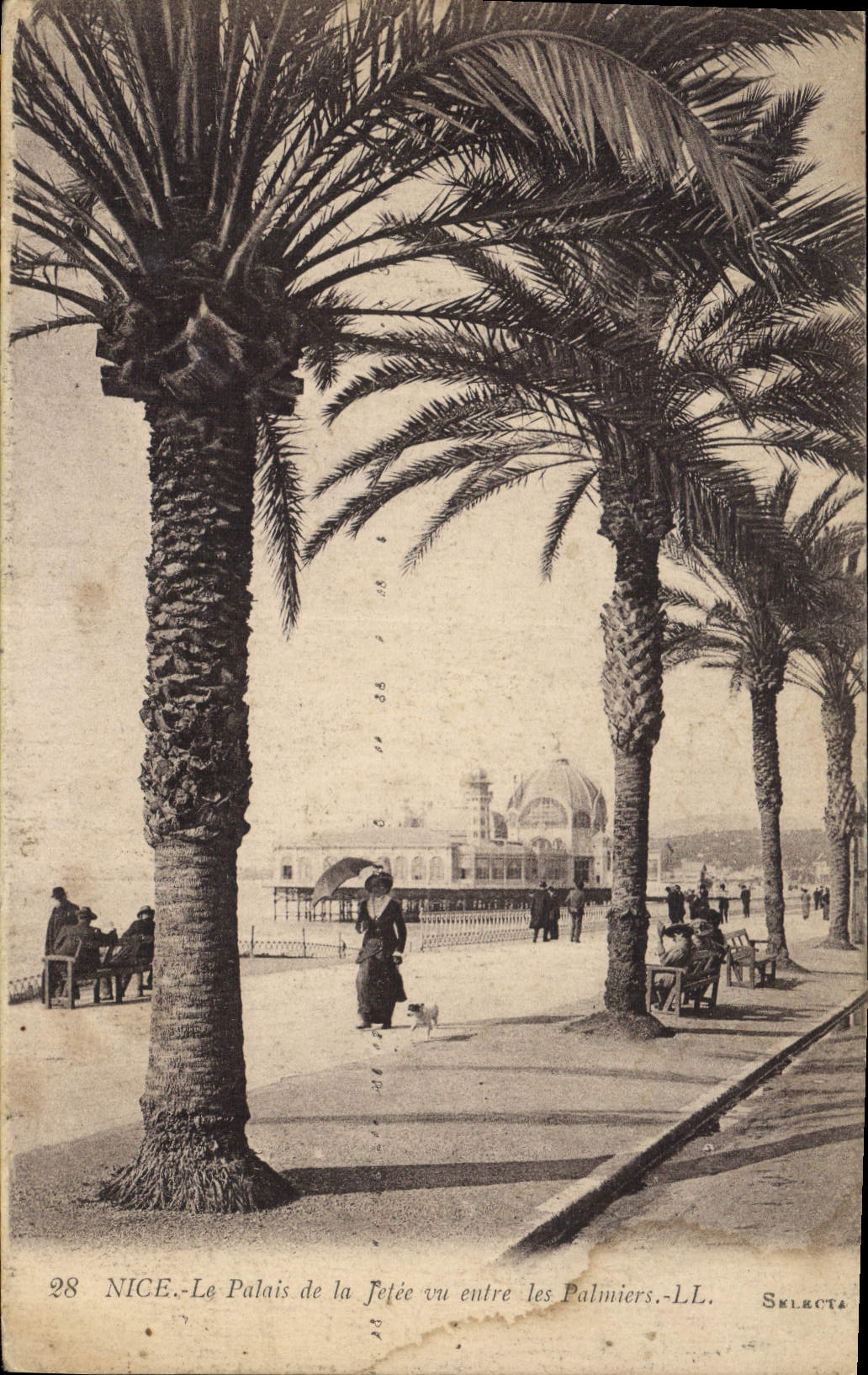 CPA Nice Le Palais de la Jetee vu entre les Palmiers 