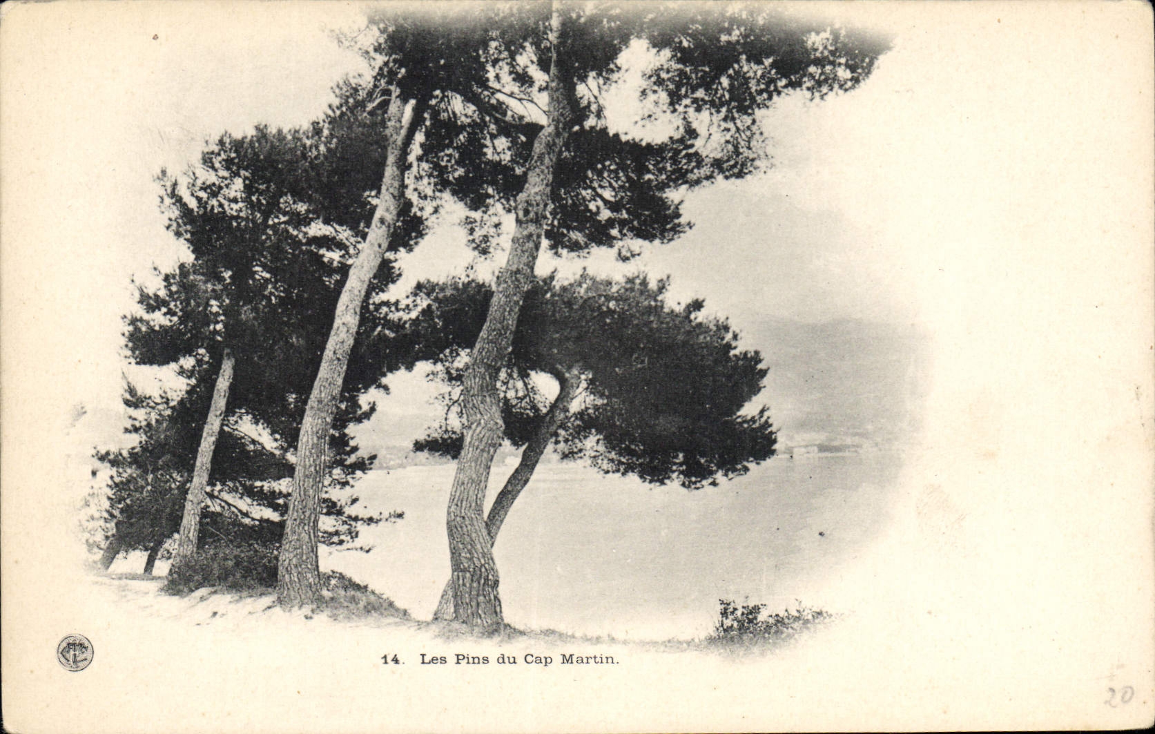 CPA Les Pins du Cap Martin