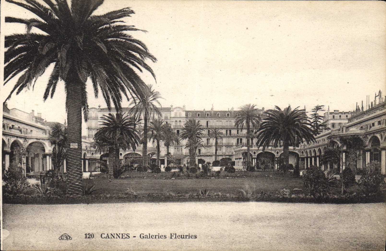 CPA Cannes Galerie Fleuries 