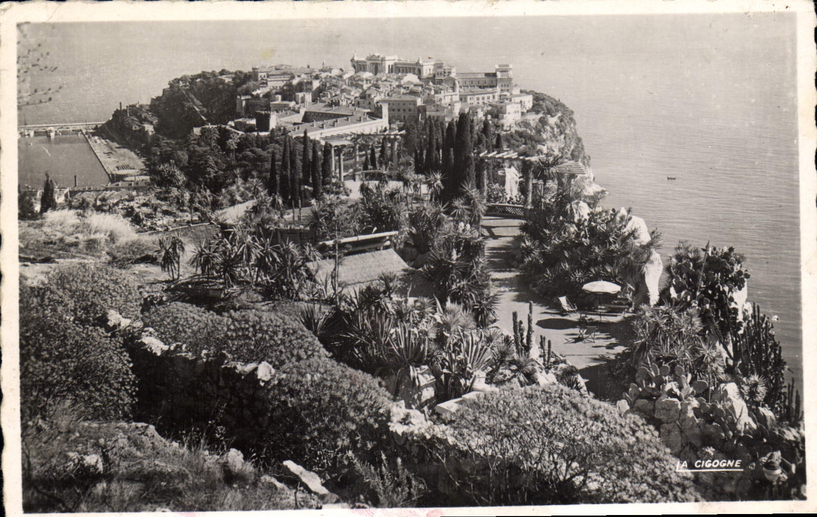 CPA Monaco Le Rocher et les Jardins Exotique 