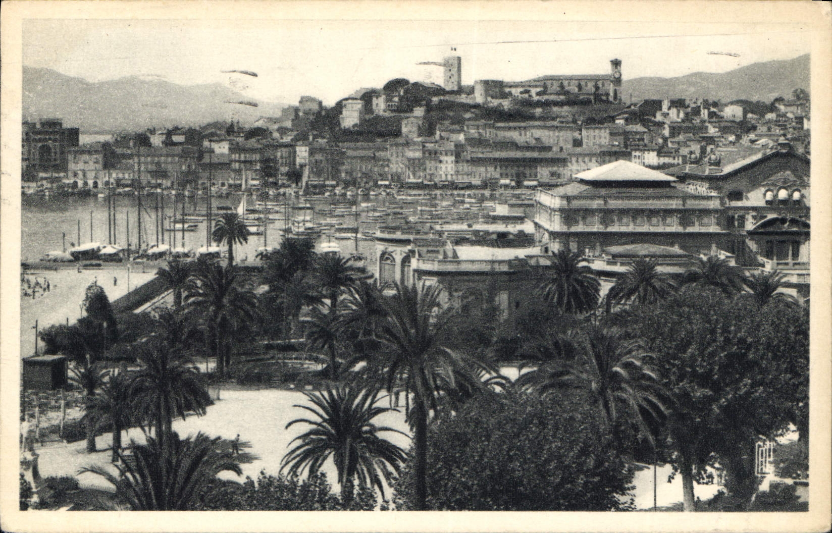 CPA Cannes Le Port le Mont Chevalier 