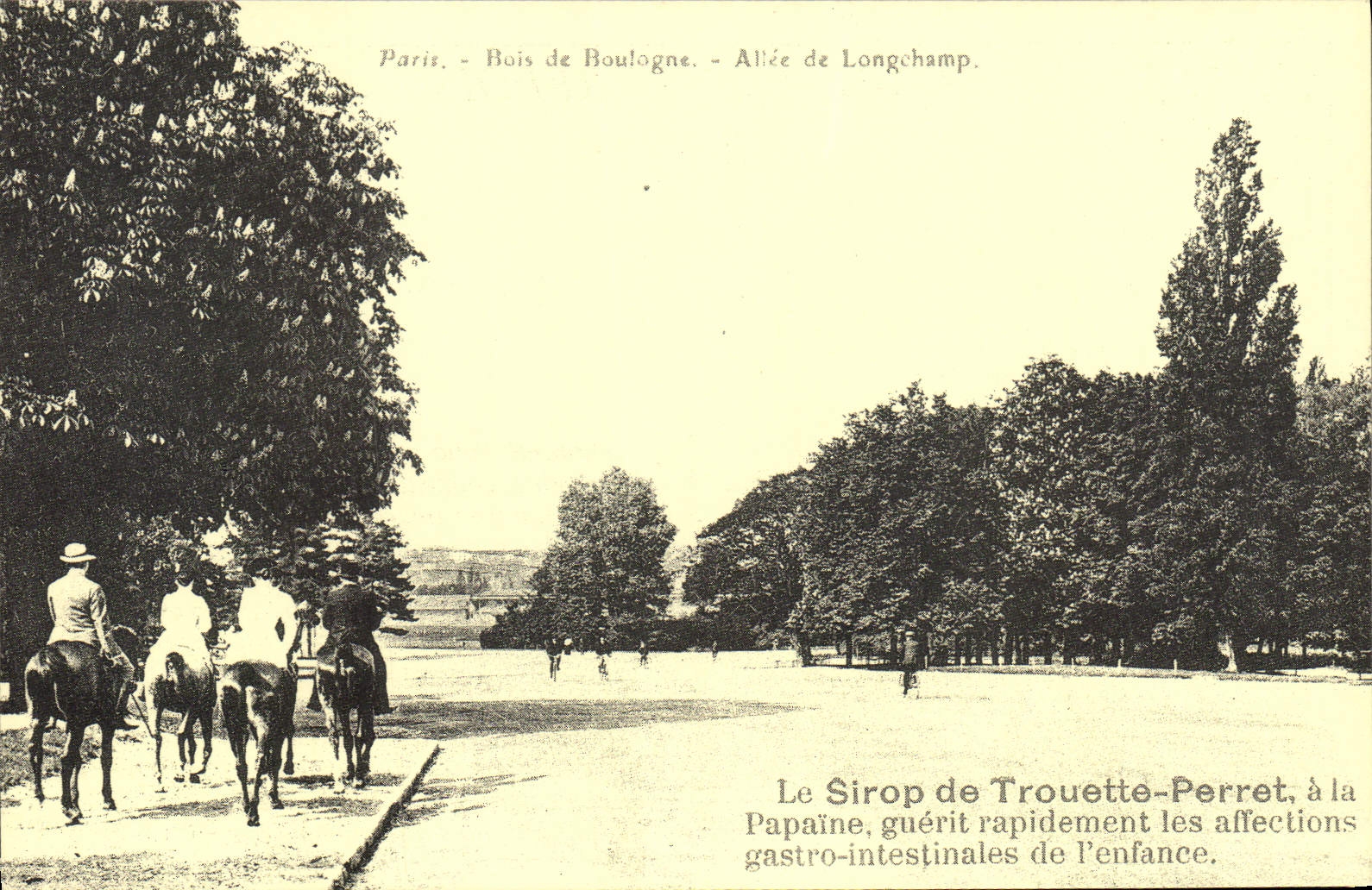 REPRO Paris Bois de Boulogne Allee de Longchamp Cheval