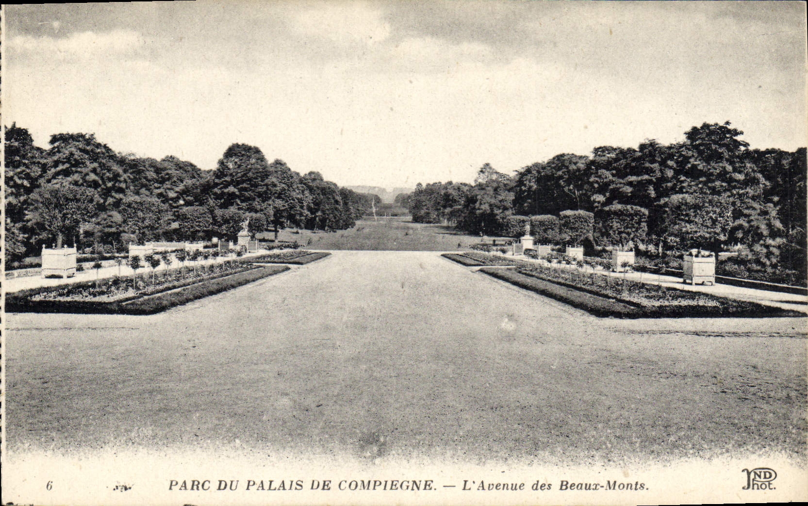 CPA Parc du Palais de Compiegne L'Avenue des Beaux Monts 