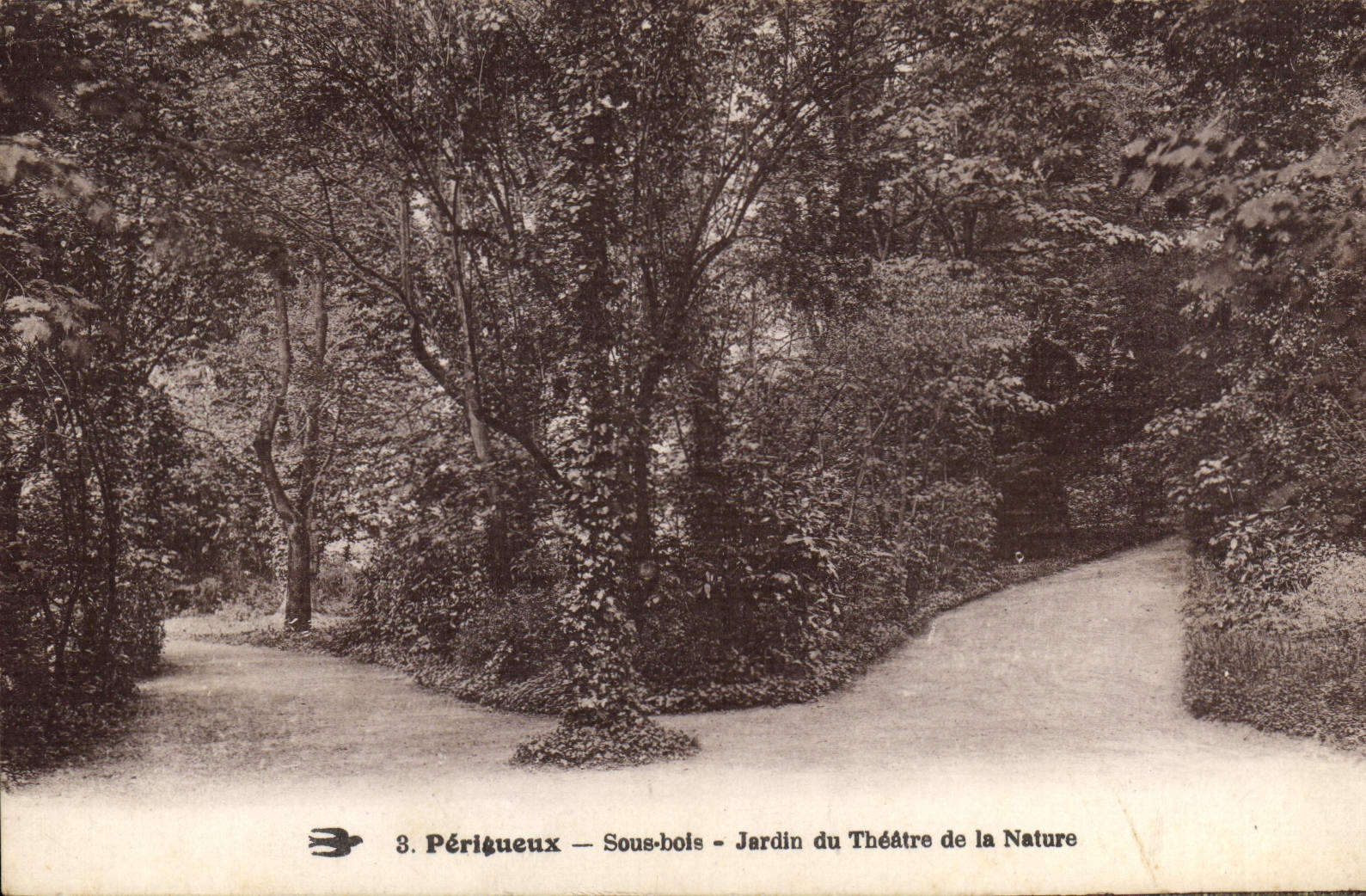 CPA Perigueux Sous bois Jardin du Theatre de la Nature