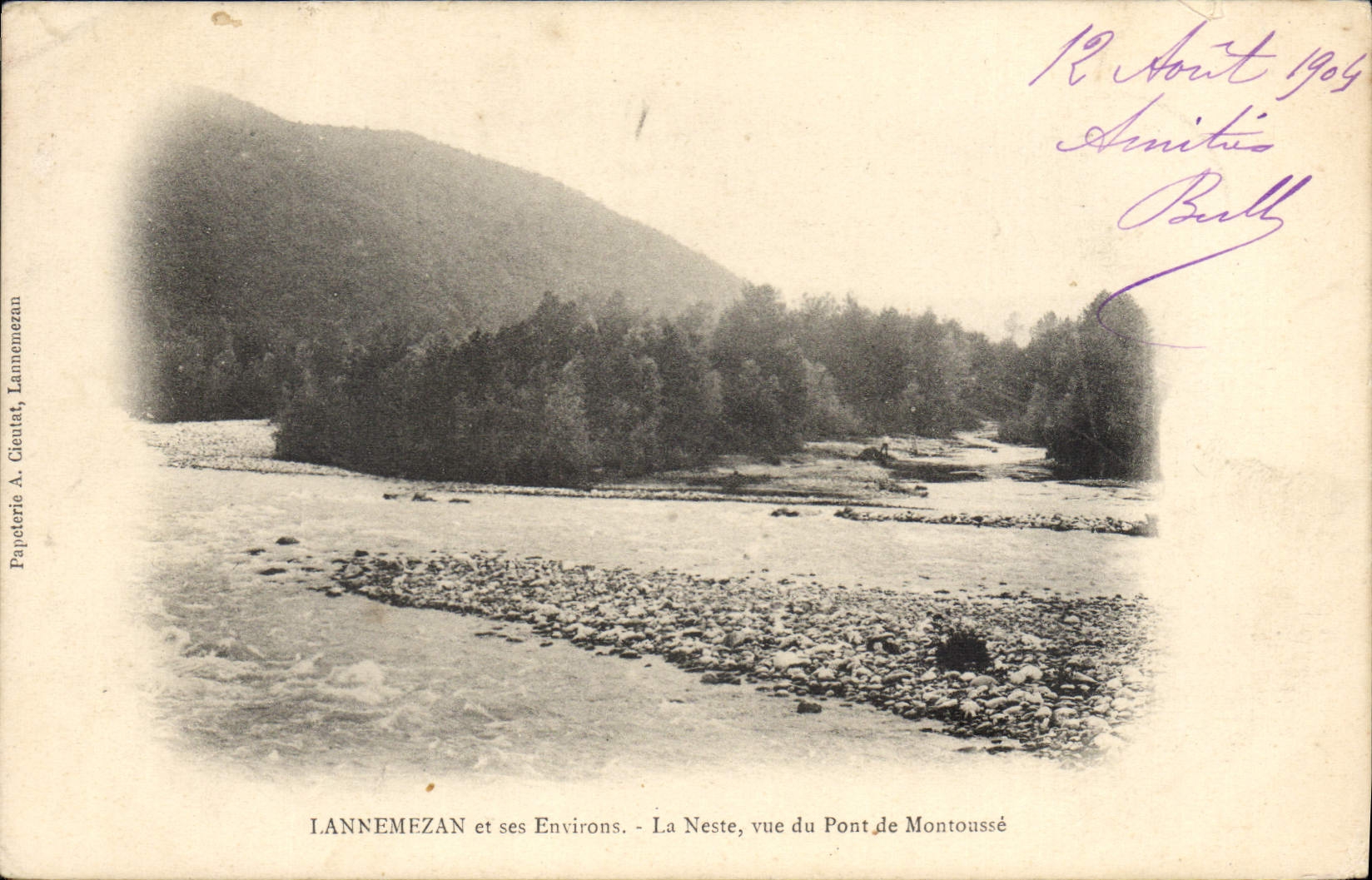 CPA Lannemezan et ses Environs La Neste vue du Pont de Montoasse