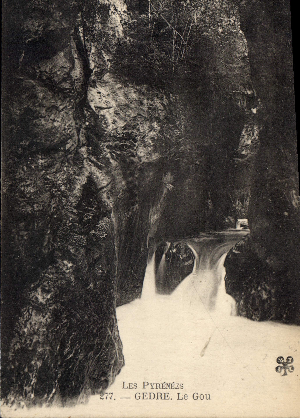 CPA Les Pyrenees Gedre Le Gou 