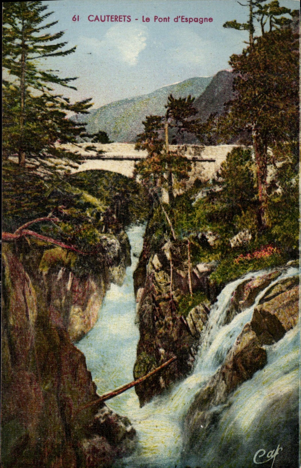 CPA Cauterets Le Pont d'Espagne 
