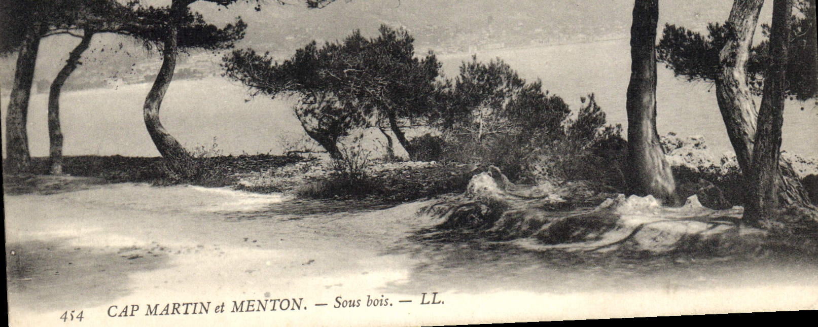 CPA Cap Martin et Menton Sous Bois 