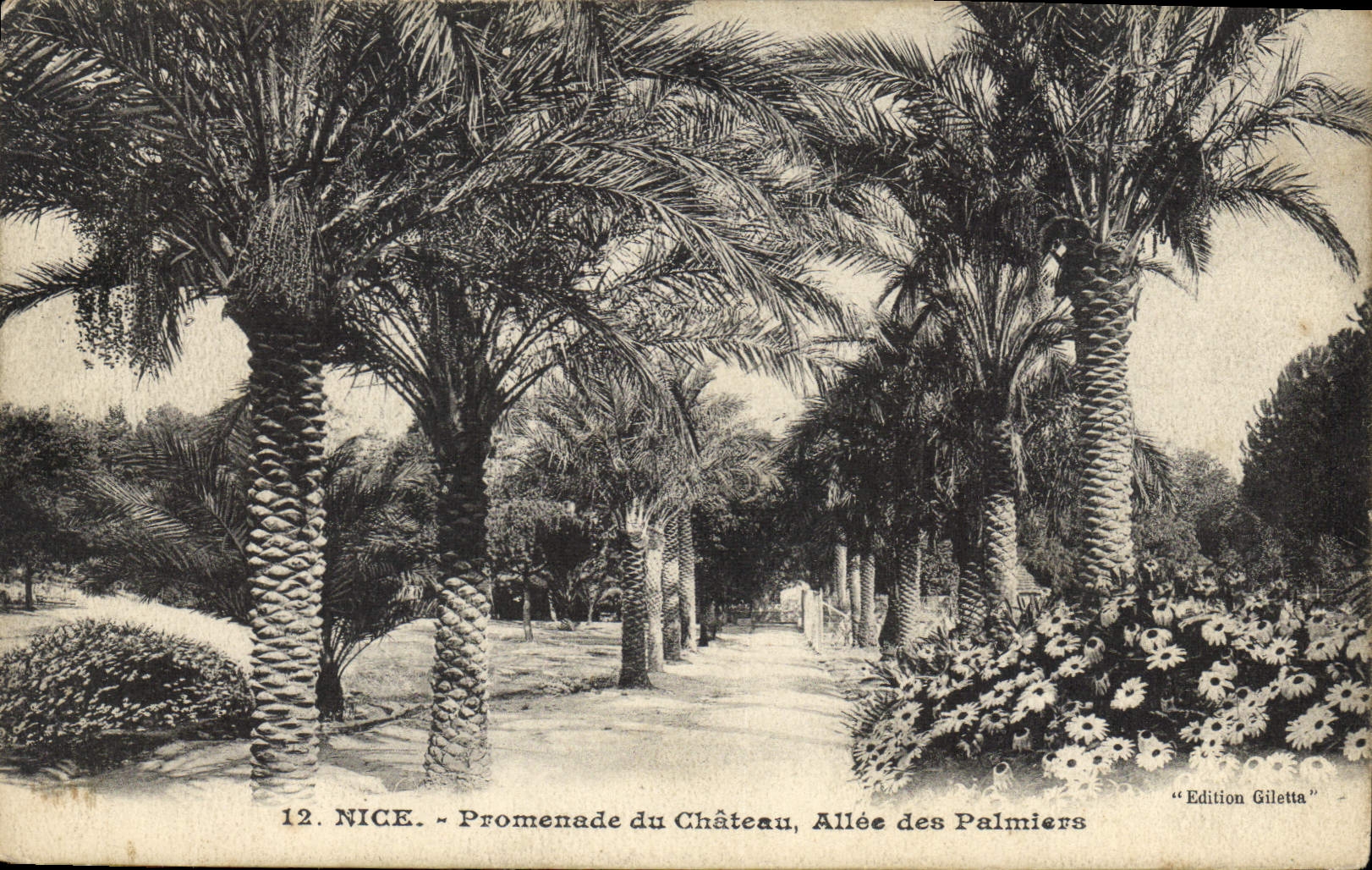 CPA Nice Promenade du Chateau Allee des Palmiers