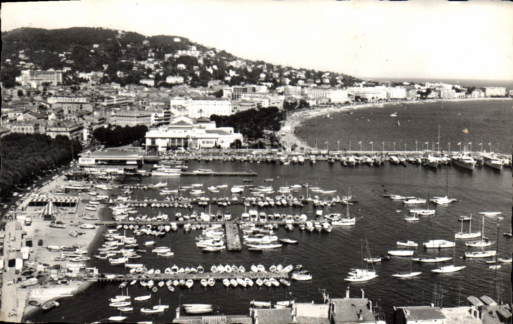 CPA Cannes Alpes Maritime Le Port le Casino la Gare Maritime et la Croisette 