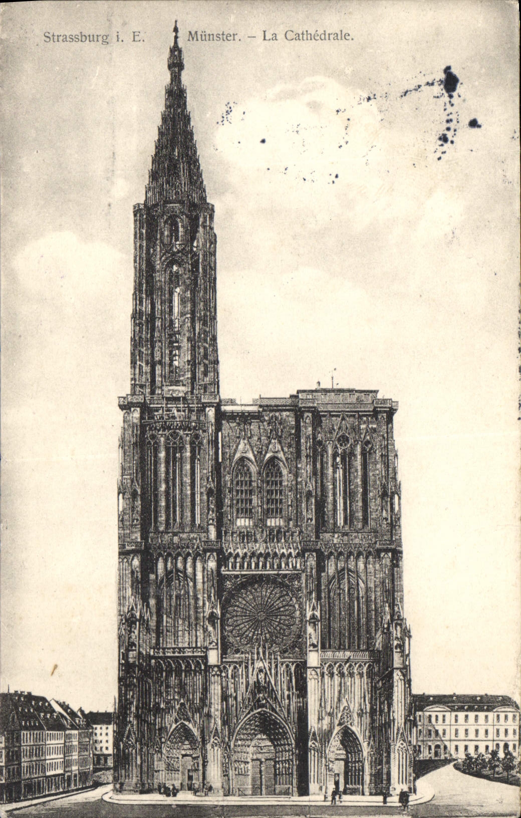 CPA Strassburg Munster La Cathedrale 