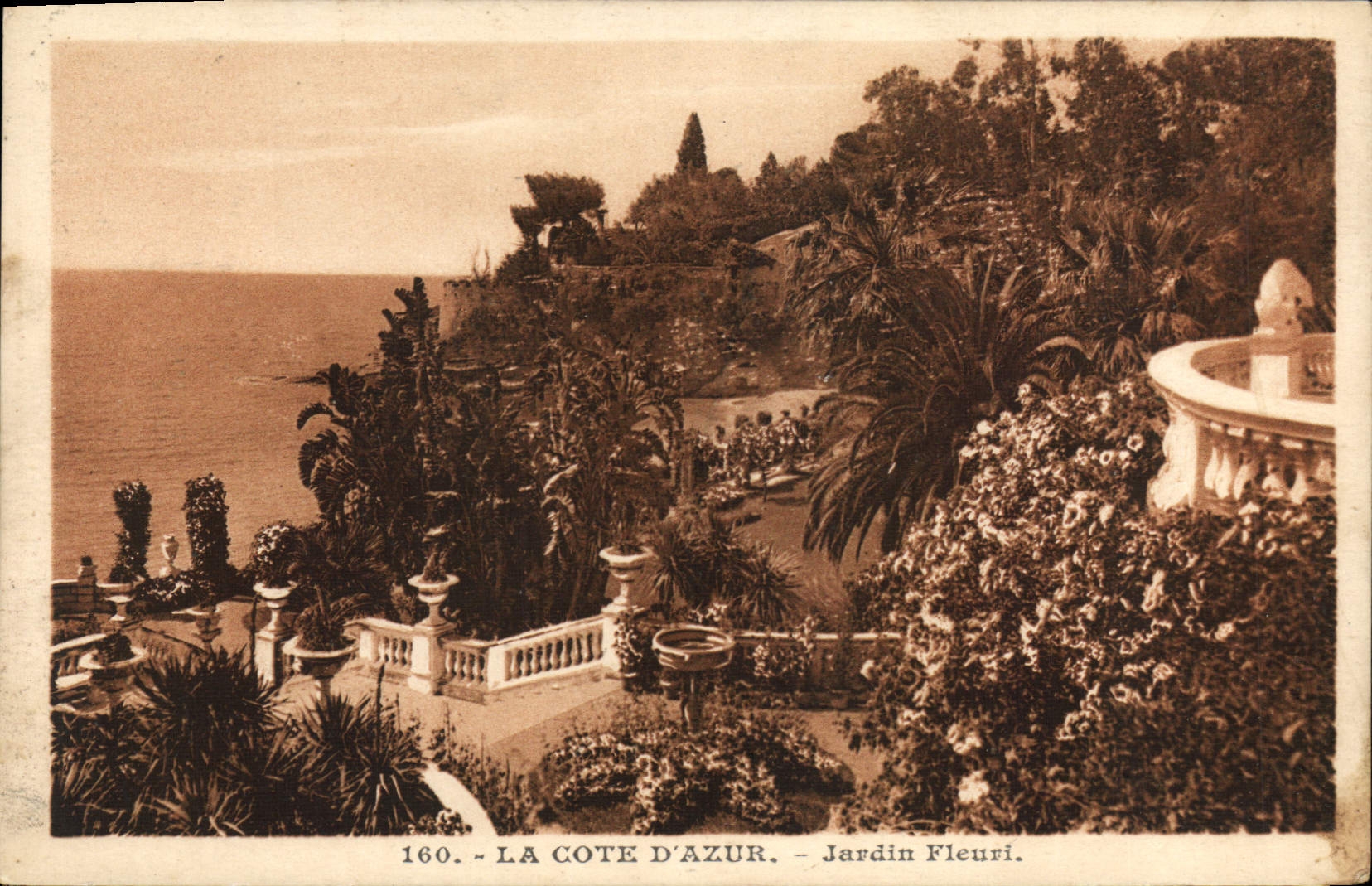 CPA La Cote d'Azur Jardin Fleuri 