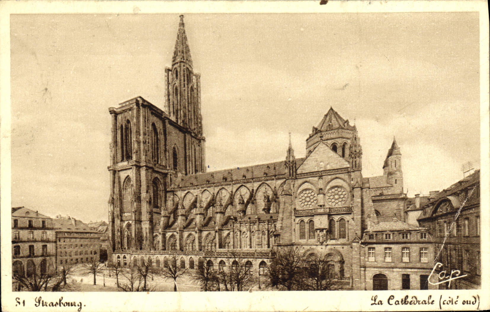 CPA Strasbourg La Cathedrale Cote sud 