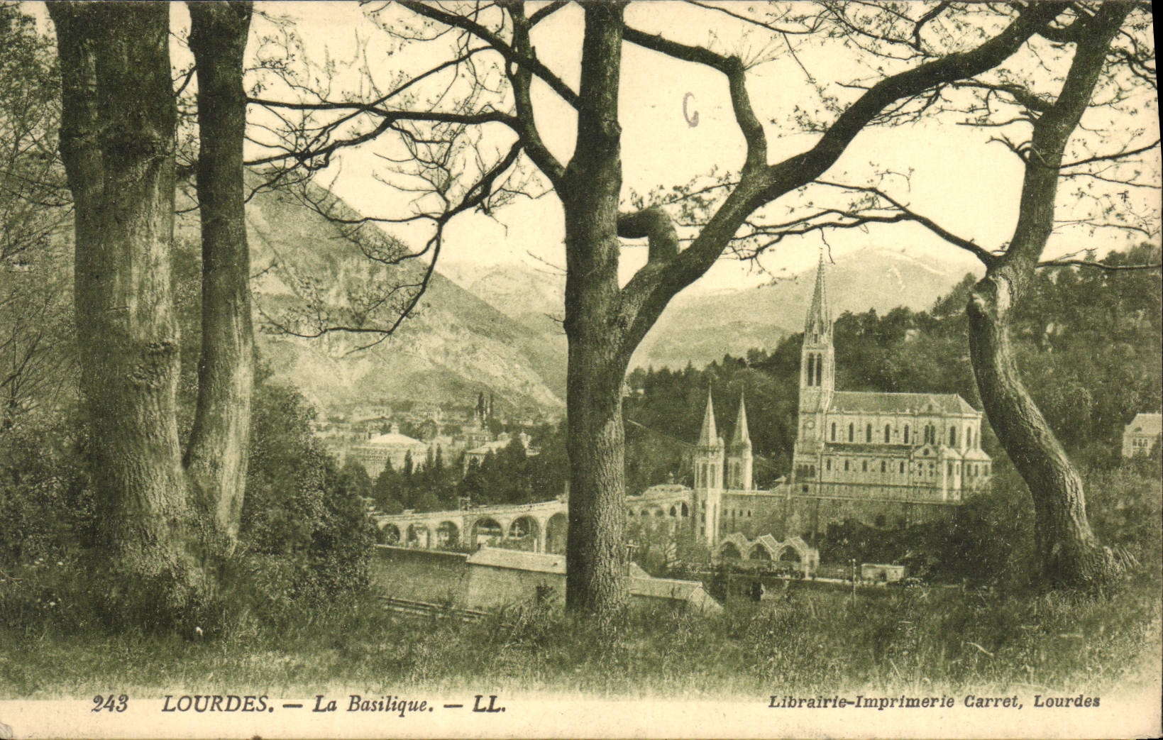 CPA Lourdes La Basilique 