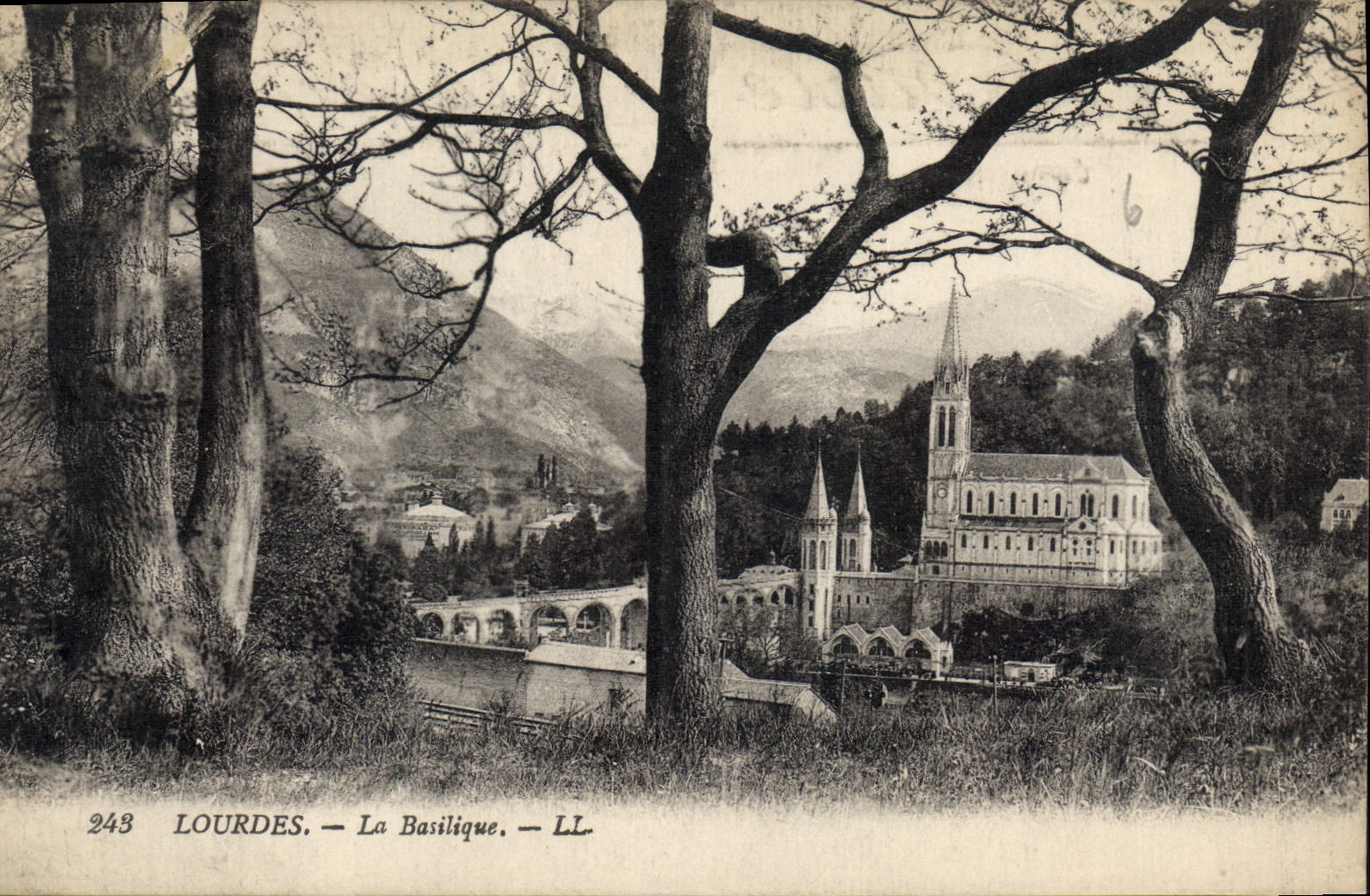 CPA Lourdes La Basilique 