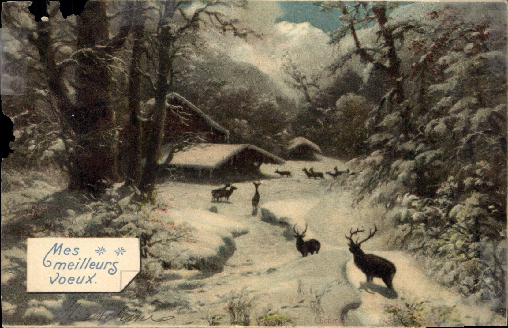 CPA Mes Meilleurs Voeux Cerf Biche