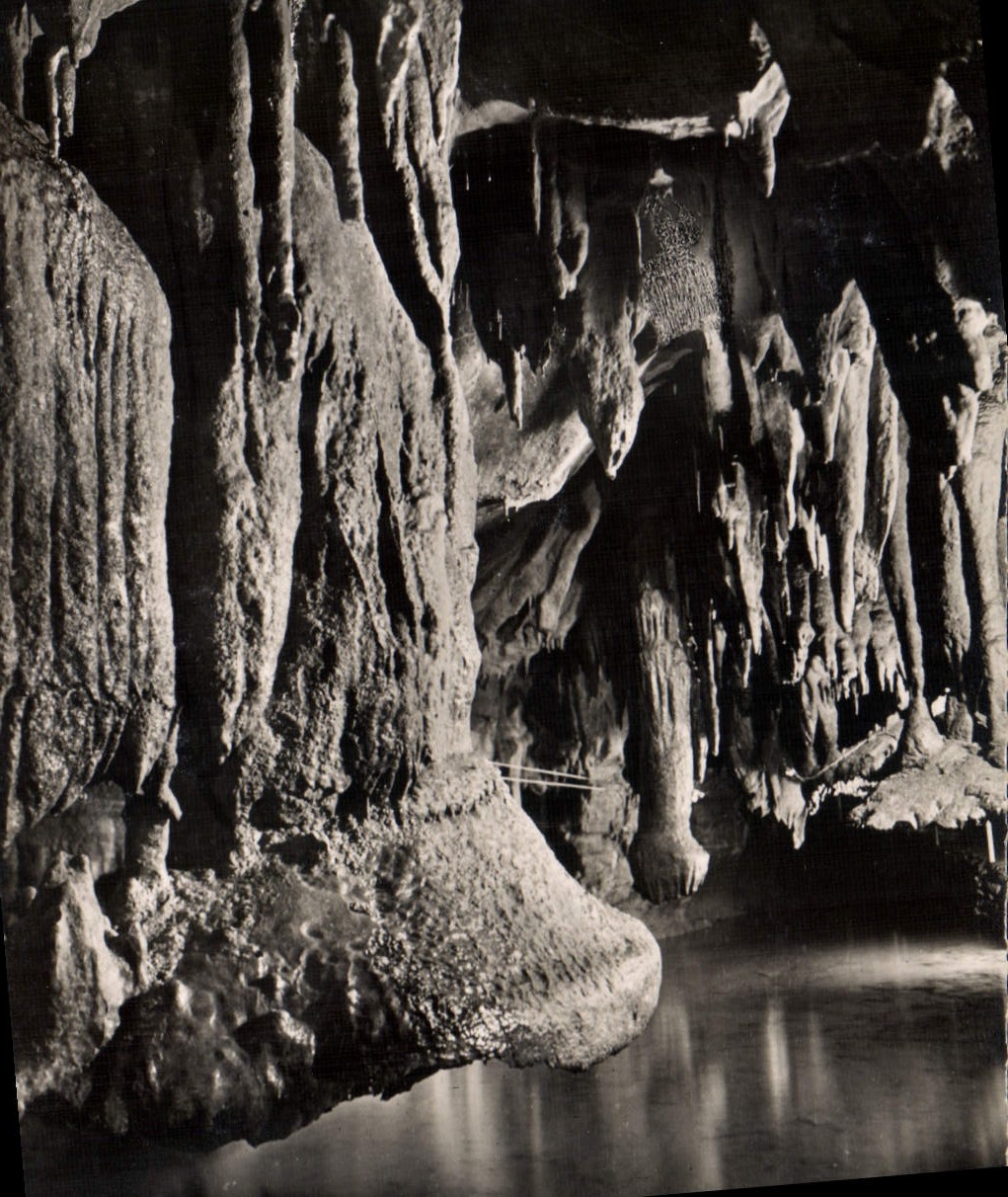 CPA Grottes de Betharram Champignoax