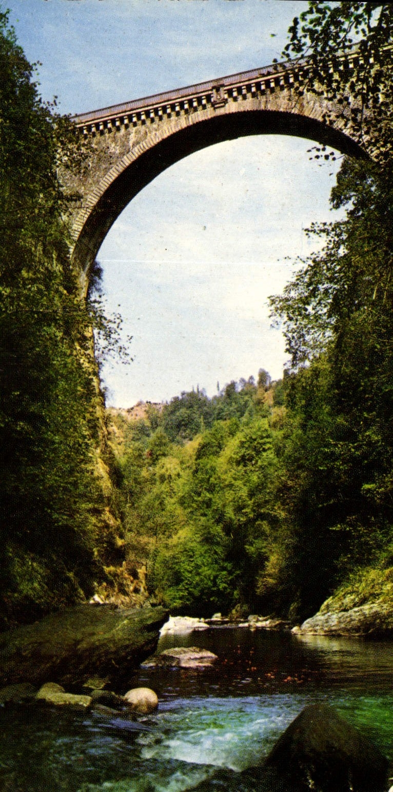 CPA Saint Sauveur Le Pont Napoleon 