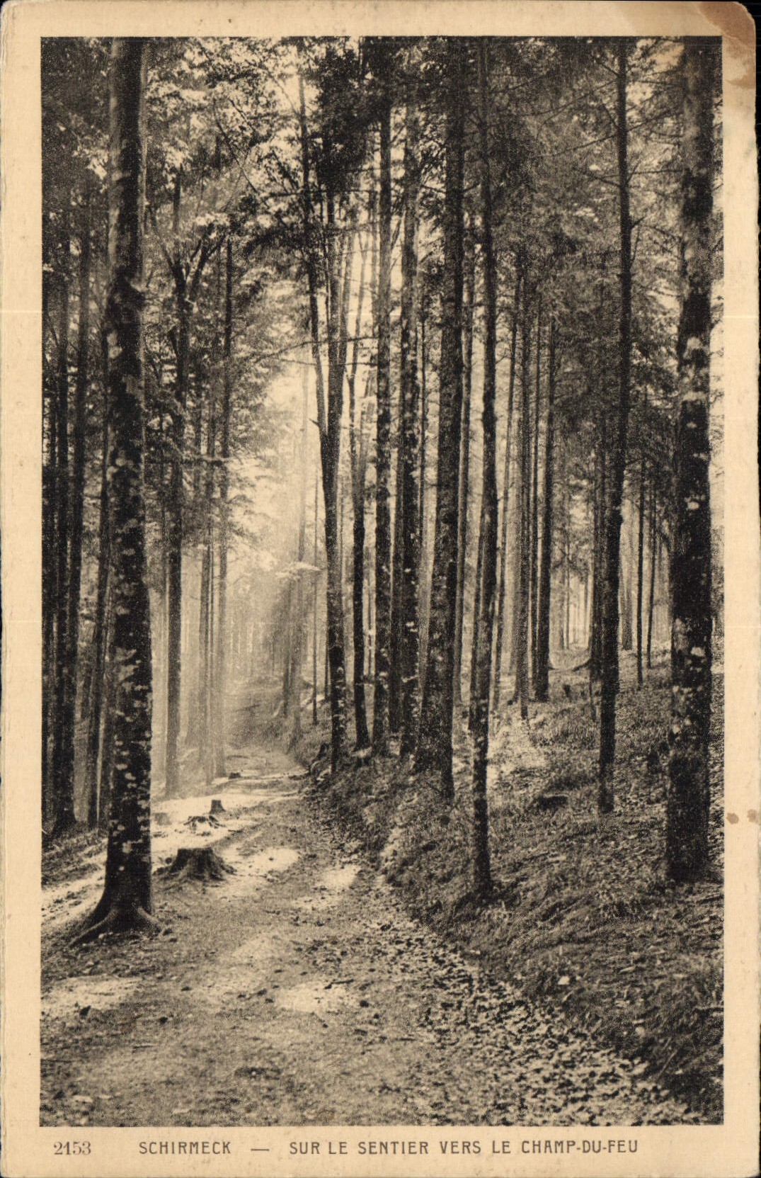 CPA Schirmeck Sur le Sentier vers le Champ du Feu 