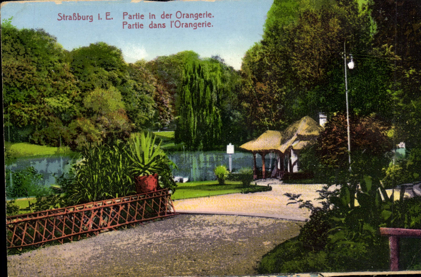 CPA Strasbourg IE Partie in der Orangerie Partie dans l'Orangerie 