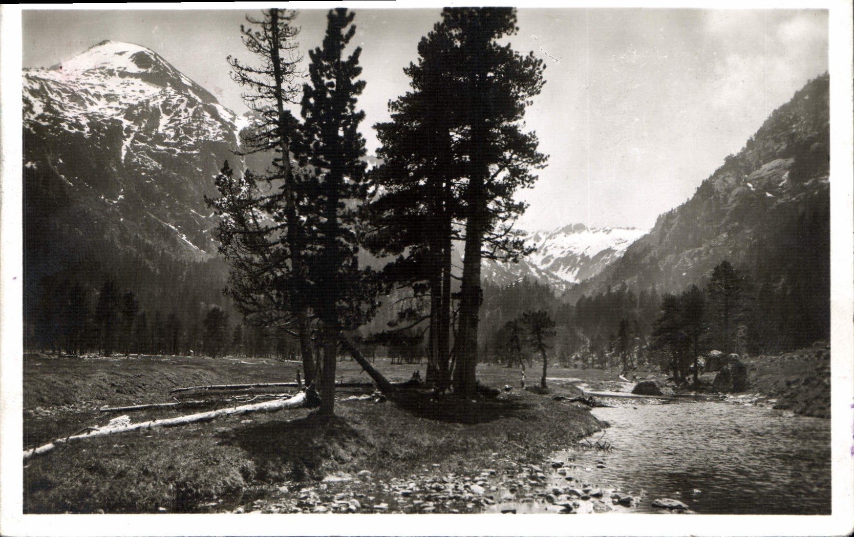 CPA Cauterets Vallee du Marcadau le Plateau de Cayan